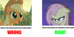 Size: 2000x1000 | Tagged: safe, applejack, fluttershy, bats!, g4, meta, text