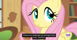 Size: 1600x830 | Tagged: safe, screencap, fluttershy, bats!, g4, female, france, meme, solo, youtube caption