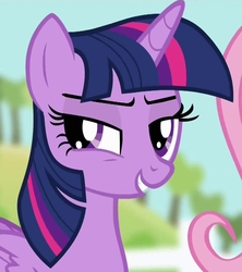 Size: 960x1080 | Tagged: safe, screencap, twilight sparkle, alicorn, pony, bats!, g4, season 4, cropped, evil smile, female, grin, mare, smiling, smirk, solo, twilight sparkle (alicorn)