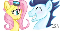 Size: 425x221 | Tagged: safe, artist:some-pegasister, fluttershy, soarin', g4, female, goggles, male, shipping, soarinshy, straight