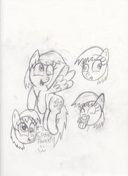 Size: 763x1048 | Tagged: safe, artist:toon-n-crossover, derpy hooves, pegasus, pony, g4, doodles, female, mare, monochrome, reference sheet, sketch