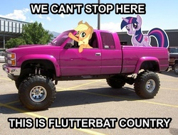 Size: 592x451 | Tagged: safe, applejack, twilight sparkle, bats!, g4, applejack truck, bat country, cardboard cutout, cardboard twilight, fear and loathing in las vegas, image macro, irl, photo, ponies in real life, truck, we can't stop here this is bat country