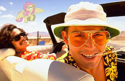 Size: 550x356 | Tagged: safe, edit, fluttershy, bat pony, human, bats!, g4, bat country, fear and loathing in las vegas, flutterbat, image macro, irl, irl human, photo, race swap