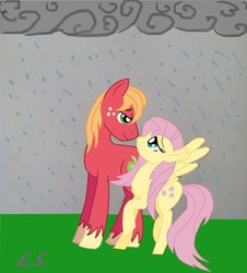 Size: 1024x1135 | Tagged: safe, artist:some-pegasister, big macintosh, fluttershy, earth pony, pony, g4, male, rain, ship:fluttermac, shipping, stallion, straight