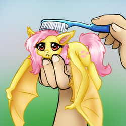 Size: 750x750 | Tagged: safe, artist:jitterbugjive, fluttershy, bat pony, human, pony, bats!, g4, :<, brushie, brushie brushie, cute, fangs, female, flutterbat, gradient background, hand, holding a pony, mare, micro, ponified, ponified animal photo, race swap, shyabates, shyabetes, solo focus, spread wings, toothbrush, unamused, wings