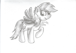 Size: 2541x1788 | Tagged: safe, artist:inurantchan, rainbow dash, g4, female, monochrome, solo, traditional art