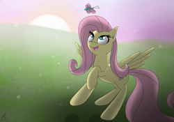 Size: 2000x1400 | Tagged: safe, artist:icanseeyourshed, fluttershy, butterfly, g4, female, grass, solo, sunset