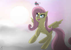 Size: 2000x1400 | Tagged: safe, artist:icanseeyourshed, fluttershy, butterfly, g4, cloud, cloudy, female, solo, sunset