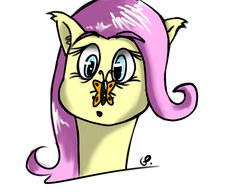 Size: 1019x784 | Tagged: safe, artist:globalpredatorx, fluttershy, g4, female, solo