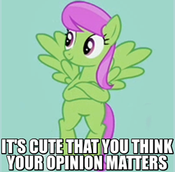 Size: 408x400 | Tagged: safe, edit, edited screencap, screencap, merry may, g4, it's about time, background pony, caption, cropped, crossed hooves, female, image macro, not so merry may, reaction image, smirk, solo