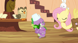 Size: 1050x590 | Tagged: safe, screencap, angel bunny, fluttershy, owlowiscious, spike, g4, just for sidekicks