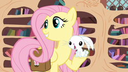 Size: 1050x590 | Tagged: safe, screencap, angel bunny, fluttershy, g4, just for sidekicks, female, solo