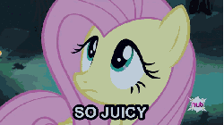 Size: 576x324 | Tagged: safe, edit, edited screencap, screencap, fluttershy, chicken, bats!, g4, animated, bread, caption, drool, eyes, female, food, hub logo, hubble, hungry, lettuce, meme, mouth, not porn, onion, ponies eating meat, sandwich, sandwich censorship, tomato, tongue out
