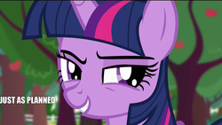 Size: 1920x1080 | Tagged: safe, twilight sparkle, alicorn, pony, bats!, g4, my little pony: friendship is magic, female, image macro, just as planned, mare, meme, solo, twilight sparkle (alicorn)