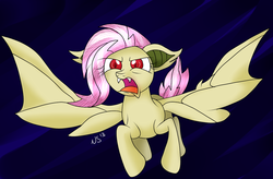 Size: 1024x673 | Tagged: safe, artist:novaspark, fluttershy, bat pony, pony, bats!, g4, female, flutterbat, race swap, solo