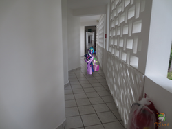 Size: 4608x3456 | Tagged: safe, artist:ojhat, derpy hooves, dinky hooves, dj pon-3, octavia melody, rarity, spike, twilight sparkle, vinyl scratch, pegasus, pony, g4, female, hallway, irl, luggage, mare, photo, ponies in real life, sign, vector