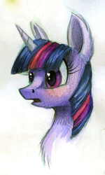 Size: 500x836 | Tagged: safe, artist:brendavid, twilight sparkle, g4, chest fluff, female, portrait, solo, traditional art