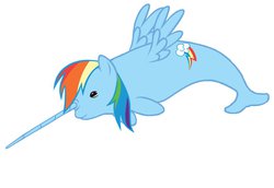 Size: 958x659 | Tagged: safe, artist:drakonslair, rainbow dash, narwhal, g4, female, solo, species swap
