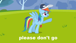 Size: 1054x593 | Tagged: safe, rainbow dash, g4, caption, female, solo