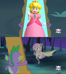 Size: 1088x1220 | Tagged: safe, fluttershy, spike, bat pony, pony, vampire bat pony, bats!, g4, my little pony: friendship is magic, exploitable meme, flutterbat, flutterbat's mirror, hub logo, meme, princess peach, race swap, super mario