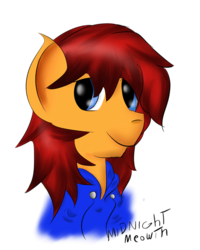 Size: 500x625 | Tagged: safe, artist:midnightmeowth, oc, oc only, simple background, solo, transparent background