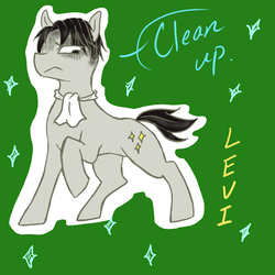 Size: 1024x1024 | Tagged: safe, artist:zonderdidi, pony, attack on titan, levi ackerman, ponified, solo