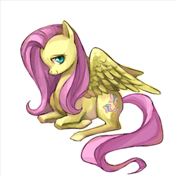 Size: 800x800 | Tagged: safe, artist:abai00, fluttershy, g4, female, solo