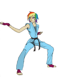 Size: 4830x6175 | Tagged: safe, artist:theblackemperor, rainbow dash, human, g4, absurd resolution, black belt, clothes, feet, female, fingerless gloves, foot pad, gi, gloves, humanized, karate, light skin, martial arts, pants, robe, serious, serious face, solo, toenails, toes, tomboy