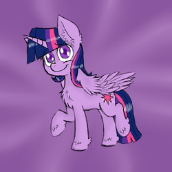 Size: 900x900 | Tagged: safe, artist:ichibangravity, twilight sparkle, alicorn, pony, g4, chest fluff, female, fluffy, mare, solo, twilight sparkle (alicorn), unshorn fetlocks