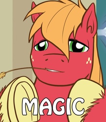 Size: 500x574 | Tagged: safe, artist:redhotkick, big macintosh, alien, earth pony, pony, g4, ancient aliens, giorgio a. tsoukalos, male, meme, reaction image, solo, stallion