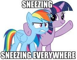 Size: 556x432 | Tagged: safe, rainbow dash, twilight sparkle, g4, image macro, meme, sneezing, twiface, x x everywhere