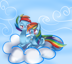 Size: 2897x2569 | Tagged: safe, artist:youngpegasister, rainbow dash, g4, blushing, female, male, rainbow blitz, rule 63, self ponidox, selfcest, ship:dashblitz, shipping, straight