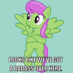 Size: 400x400 | Tagged: safe, edit, edited screencap, screencap, merry may, g4, it's about time, caption, cropped, crossed hooves, female, image macro, meme, not so merry may, reaction image, sarcasm, smirk, solo