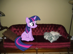 Size: 640x480 | Tagged: safe, twilight sparkle, g4, irl, photo, ponies in real life, solo