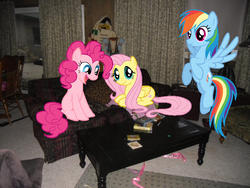 Size: 638x479 | Tagged: safe, fluttershy, pinkie pie, rainbow dash, g4, irl, photo, ponies in real life