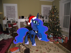 Size: 637x479 | Tagged: safe, princess luna, g4, christmas, irl, photo, ponies in real life, solo