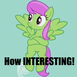 Size: 400x400 | Tagged: safe, edit, merry may, g4, background pony, caption, cute, female, happy, image macro, meme, not so merry may, smirk, solo, text