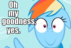 Size: 960x650 | Tagged: safe, rainbow dash, g4, female, image macro, meme, reaction image, solo