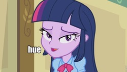 Size: 960x540 | Tagged: safe, twilight sparkle, equestria girls, g4, female, hue, huehuehue, image macro, solo