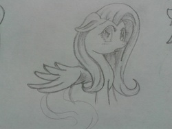 Size: 2560x1920 | Tagged: safe, artist:burnoid096, fluttershy, pegasus, pony, g4, female, monochrome, sketch, solo, traditional art