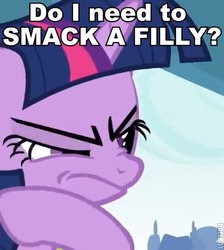 Size: 426x475 | Tagged: safe, twilight sparkle, g4, female, image macro, meme, reaction image, solo