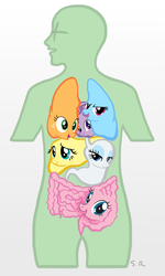 Size: 500x832 | Tagged: safe, edit, applejack, fluttershy, pinkie pie, rainbow dash, rarity, twilight sparkle, oc, oc:anon, human, g4, anatomy, cropped, equestria in anon, heart (organ), horgans, intestines, liver, lungs, mane six, my little x, not salmon, op is on drugs, organs, stomach, wat, why, wtf
