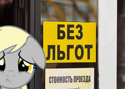 Size: 469x334 | Tagged: safe, derpy hooves, pegasus, pony, g4, female, irl, mare, photo, ponies in real life, russian, sign, solo