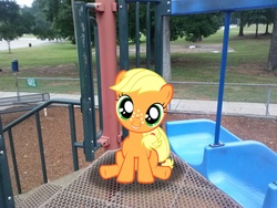 Size: 2592x1944 | Tagged: safe, artist:anevilzebra, artist:tokkazutara1164, applejack, g4, bench, female, filly, irl, looking at you, photo, playground, ponies in real life, shadow, sitting, slide, solo, tree, vector