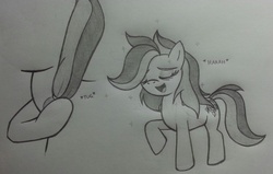 Size: 1118x712 | Tagged: safe, artist:lockerobster, oc, oc only, oc:safe haven, pony, female, mare, missing leg, monochrome, solo, traditional art