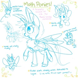 Size: 800x800 | Tagged: safe, artist:meekcheep, oc, oc only, mothpony, original species, drink, eating, moth pony general, reference sheet