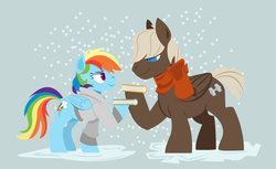 Size: 1270x776 | Tagged: safe, artist:dbkit, dumbbell, rainbow dash, pegasus, pony, g4, book, clothes, dumbdash, duo, female, male, scarf, shipping, snow, snowfall, stallion, straight