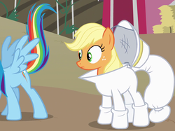 Size: 885x663 | Tagged: safe, screencap, applejack, rainbow dash, pegasus, pony, castle mane-ia, g4, beekeeper, eyes on the prize, female, looking at butt, mare, out of context