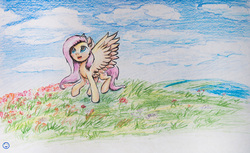 Size: 3358x2055 | Tagged: safe, artist:roadsleadme, fluttershy, g4, female, solo, traditional art