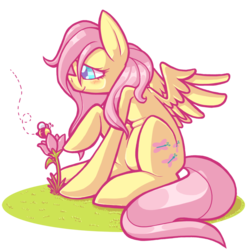 Size: 800x800 | Tagged: safe, artist:grindzone, fluttershy, bee, g4, female, flower, solo